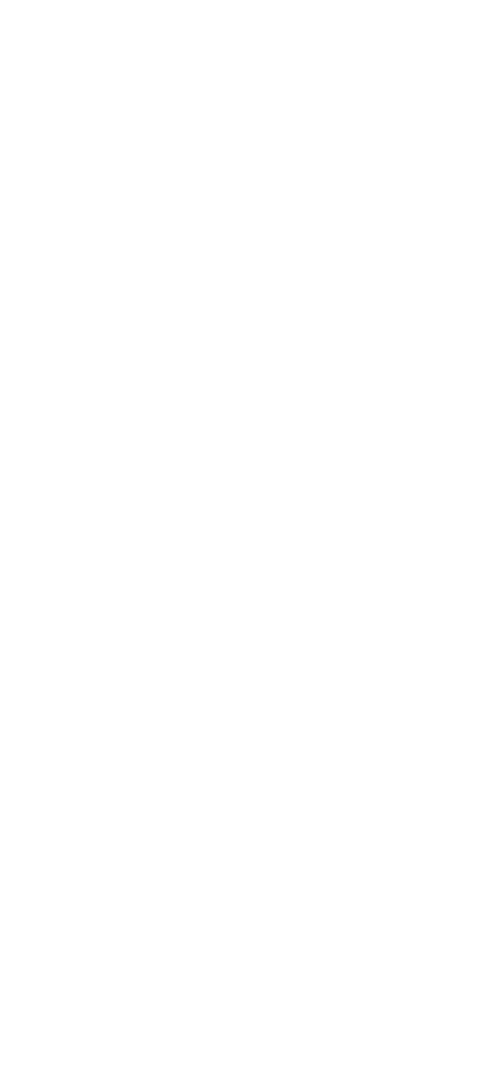 The Custom District